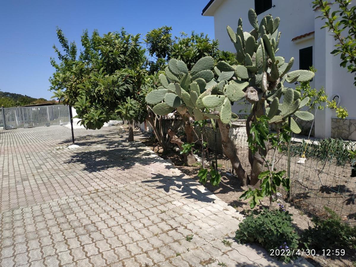 Villa Scialara Vieste Exterior photo